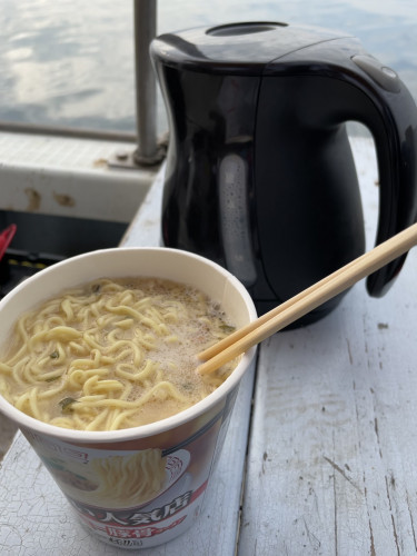 釣船 浦島太郎 釣果