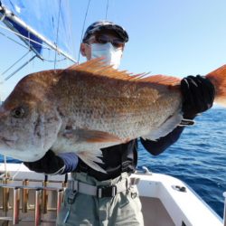 ジギング船 BLUEWATER 釣果