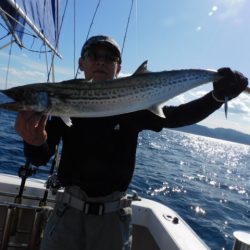 ジギング船 BLUEWATER 釣果