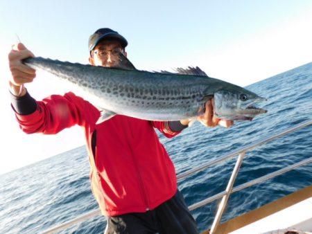 ジギング船 BLUEWATER 釣果