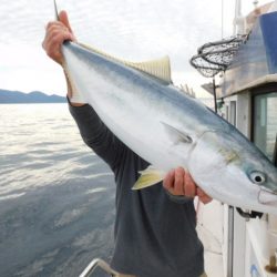 ジギング船 BLUEWATER 釣果