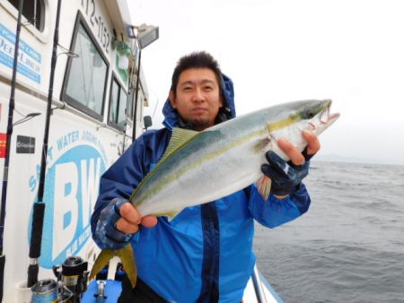 ジギング船 BLUEWATER 釣果