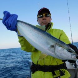 ジギング船 BLUEWATER 釣果