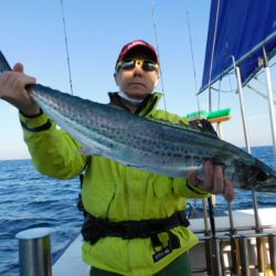 ジギング船 BLUEWATER 釣果