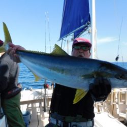 ジギング船 BLUEWATER 釣果