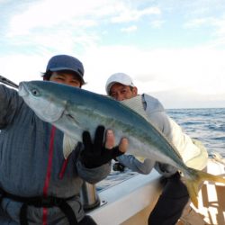 ジギング船 BLUEWATER 釣果
