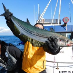 ジギング船 BLUEWATER 釣果