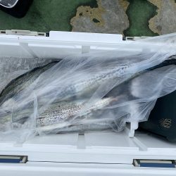 sea boss シーボス 釣果