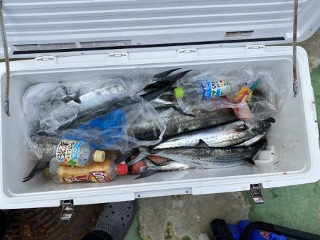 sea boss シーボス 釣果