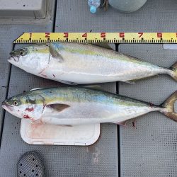 sea boss シーボス 釣果