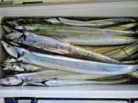 おおせき丸 釣果