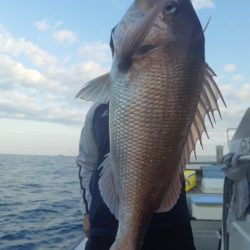 飛燕さくら丸 釣果