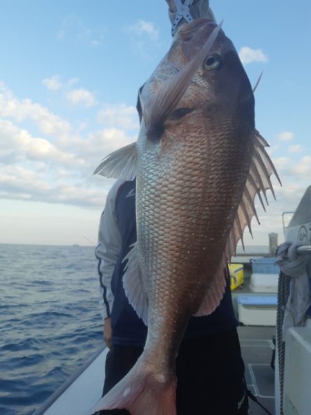 飛燕さくら丸 釣果