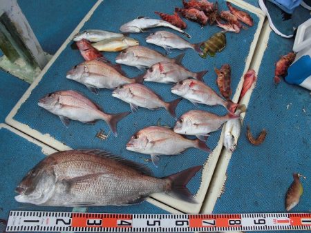 十八宝洋丸 釣果