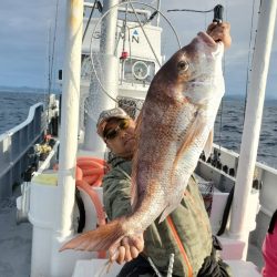 ブルーピア 釣果