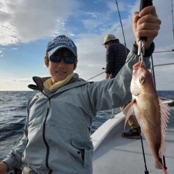 ブルーピア 釣果