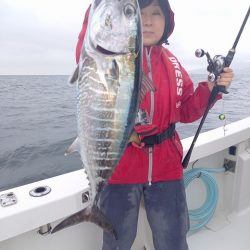 フィッシングボートACE(エース) 釣果