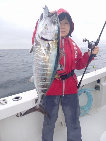 フィッシングボートACE（エース） 釣果