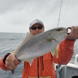 ブルーピア 釣果