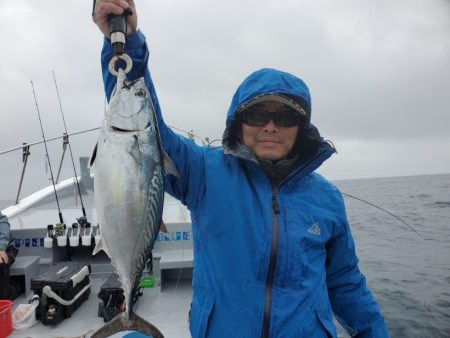 ブルーピア 釣果