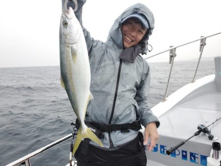 ブルーピア 釣果