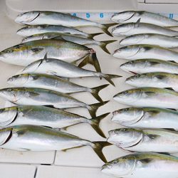 松本釣船２ 釣果