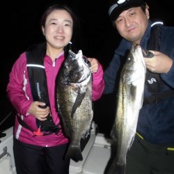 ルアー船マヒマヒ 釣果