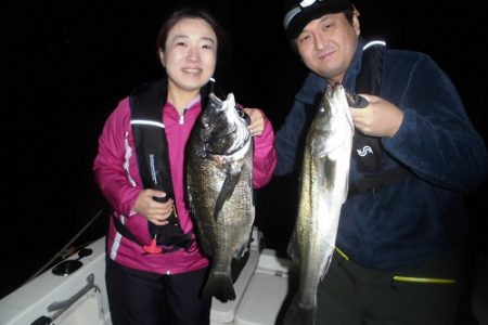 ルアー船マヒマヒ 釣果