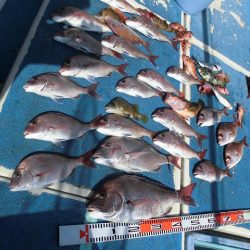 十八宝洋丸 釣果