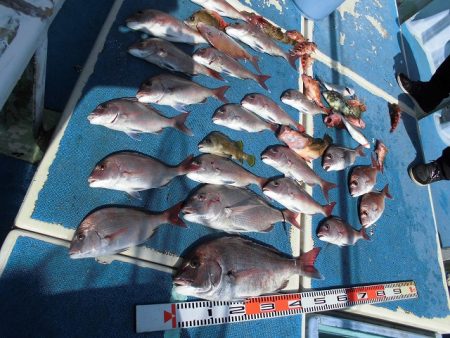 十八宝洋丸 釣果