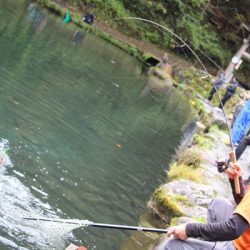 小菅トラウトガーデン 釣果