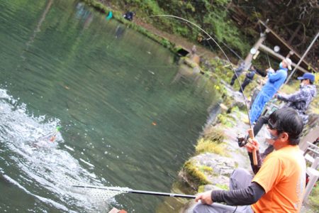 小菅トラウトガーデン 釣果