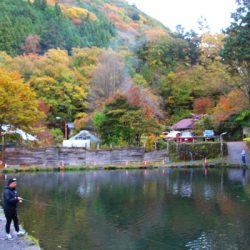 小菅トラウトガーデン 釣果