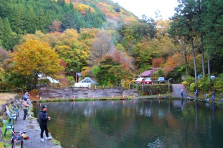 小菅トラウトガーデン 釣果
