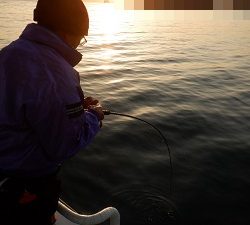 遊漁船 幸友丸 釣果