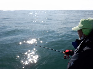 遊漁船 幸友丸 釣果