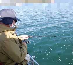 遊漁船 幸友丸 釣果