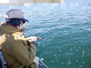 遊漁船 幸友丸 釣果