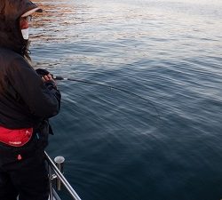 遊漁船 幸友丸 釣果