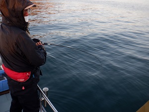 遊漁船 幸友丸 釣果