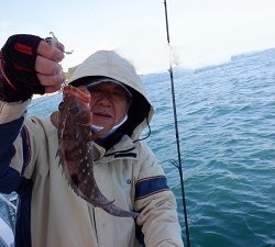 遊漁船 幸友丸 釣果