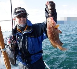 遊漁船 幸友丸 釣果