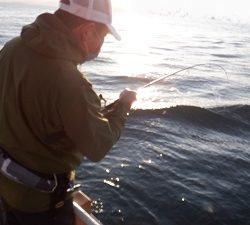 遊漁船 幸友丸 釣果