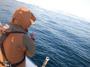 遊漁船 幸友丸 釣果