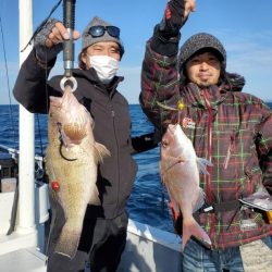 ブルーピア 釣果