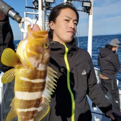 ブルーピア 釣果