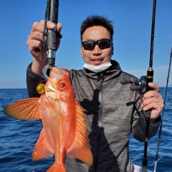 ブルーピア 釣果