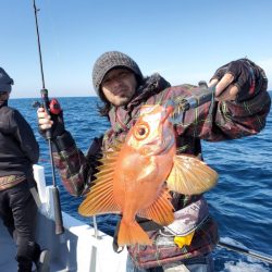 ブルーピア 釣果