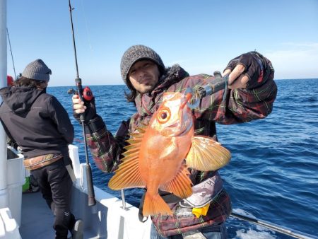 ブルーピア 釣果