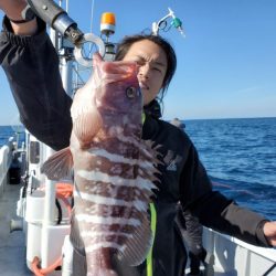 ブルーピア 釣果